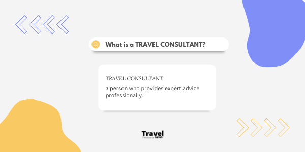 2-Agent-Consultant-Professional-Advisor