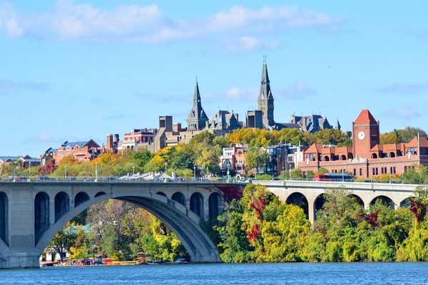 Best Places to See Cherry Blossoms in DC and Unique Ways to See Them